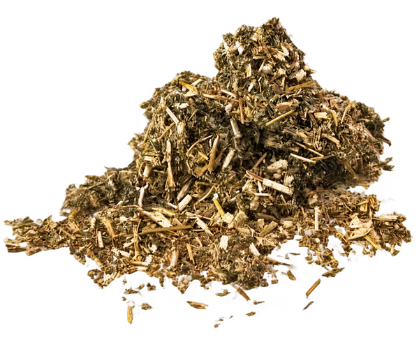 Mugwort Tea