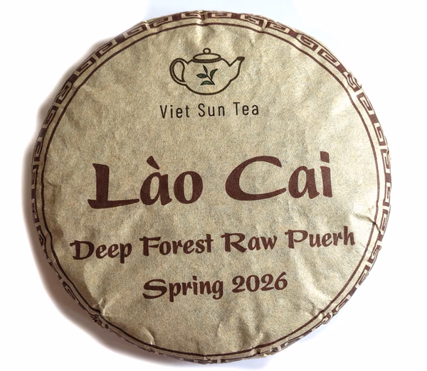 2026 VietSun Lào Cai Deep Forest Raw Puerh Cake
