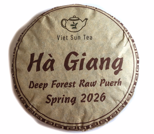2026 VietSun Ha Giang Deep Forest Raw Puerh Cake
